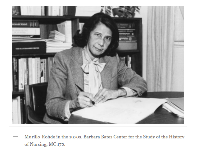 Who was dr. ildaura murillo-rohde