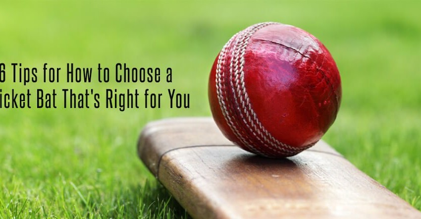 How to Choose a Cricket Bat