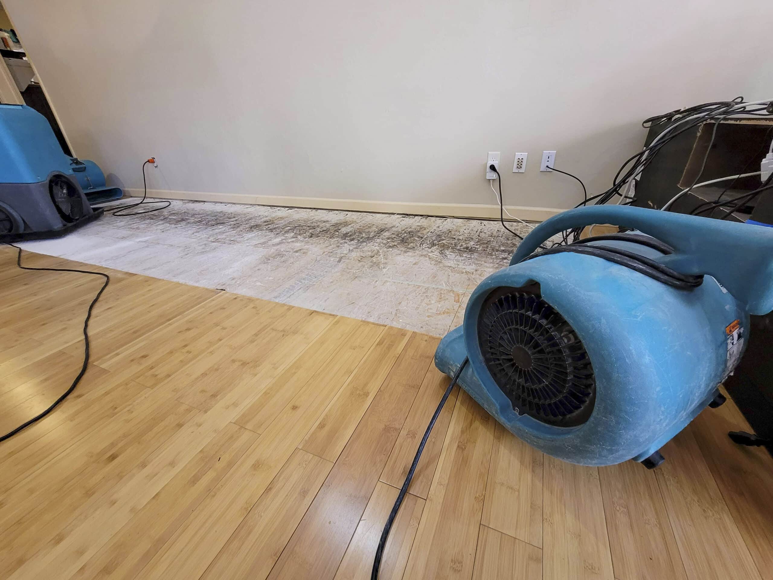  Drying and Dehumidification in Water Damage Restoration