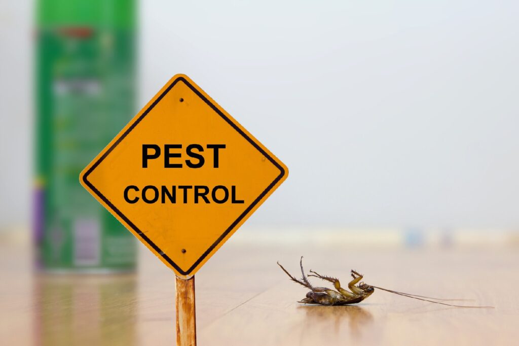 Complete Pest Control Guide: Tips & Solutions